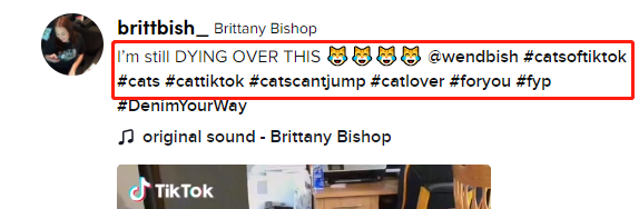 跨境卖家如何利用TikTok标签选品快速找到爆款？