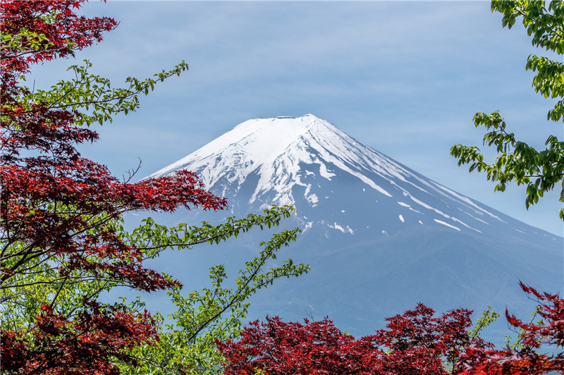 了解日本条形码注册流程