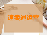 速卖通店铺运营计划书